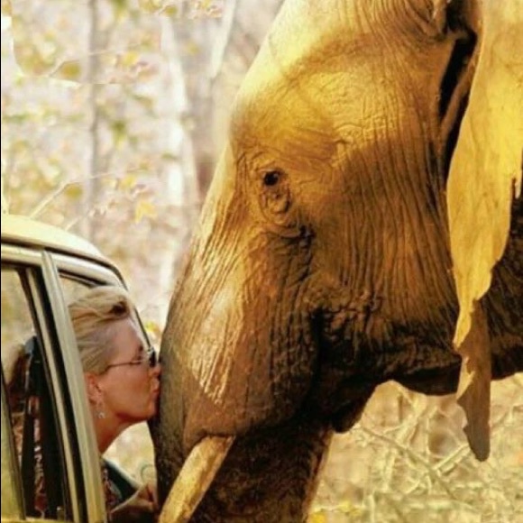 Bundle Up For a Discount! - Picture 3 of 7